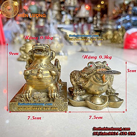 Mua Cặp Cóc 3 Chân Ngậm Tiền Và Tỳ Hưu Ngồi Đế Bằng Đồng Phong Thủy