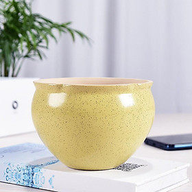 Mua Chậu trồng cây hình lu nước  chậu sứ hình chum trồng cây văn phòng  cây để bàn đẹp  gốm sứ Trung Quốc chất lượng cao