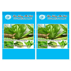 Bộ 2 Gói Hạt Giống Cải Bẹ Dưa Muối (Brassica juncea) 10g