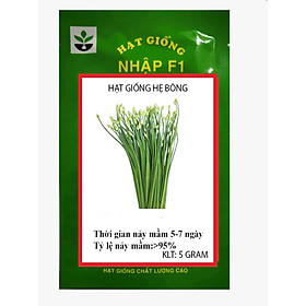 Mua 5 gram hạt giống rau hẹ bông