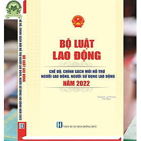 [Download Sách] Bộ Luật Lao Động Chế Độ, Chính Sách Mới Hỗ Trợ Người Lao Động, Người Sử Dụng Lao Động Năm 2022