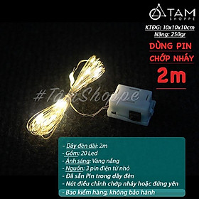 Dây đèn Led đom đóm màu vàng ấm chỉnh hiệu ứng chớp nháy hoặc đứng yên