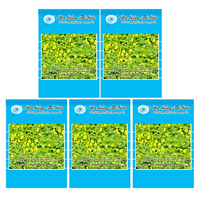 Mua Bộ 5 Gói Hạt Giống Cỏ Lạc Đậu Phộng - Lùn Sống Lâu Năm (Arachis glabrata Benth) 5h