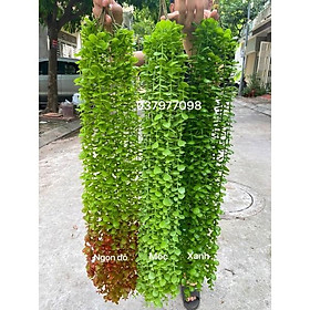 Mua Dây leo giả cúc tần ấn độ Lá To dài 1m- Cây giả - Mốc tại Cây giả Hoa Lụa | Tiki Mua Dây Leo Giả Cúc Tần Ấn Độ Lá To Dài 1M- Cây Giả - Mốc Tại Cây Giả Hoa Lụa | Tiki