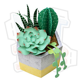 Mô hình giấy Cây cảnh Sen đá