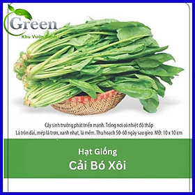 Mua Hạt Giống Cải Bó Xôi F1