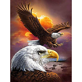 Bimkole 5D Diamond Painting Two Bald Eagles Full Drill DIY Rhinestone Pasted with Diamond Set Arts Craft Decorations (12x16inch)