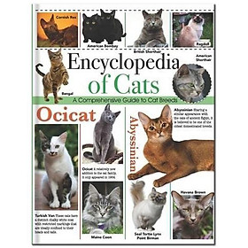 Hình ảnh sách Encyclopedia Of Cats