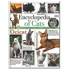 Encyclopedia Of Cats