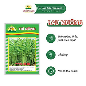 Mua Hạt Giống Rau Muống Trí Nông   TN40  Dễ Trồng  Dễ Chăm Sóc  Thời Gian Thu Hoạch 35 ngày  Gói 50 gram