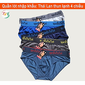 Combo 5 quần lót Nam Thái Lan (Thun Lạnh co giãn 4 chiều)