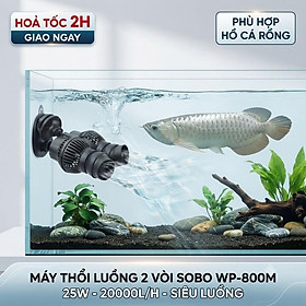 Máy Thổi Luồng 2 Vòi Sobo WP-800M (25W - 20000L/H) - Siêu Luồng Cho Hồ Cá Rồng