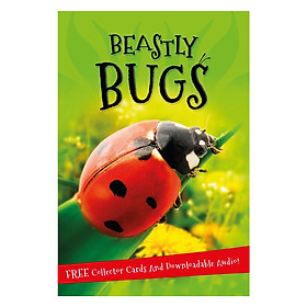 [Download Sách] It's all about... Beastly Bugs