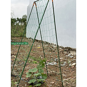 Mua GIÀN CHỮ A  D60*C180CM  ỐNG PHI 11