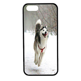 Ốp lưng cho điện thoại Iphone 5 CB 26 - Hàng chính hãng