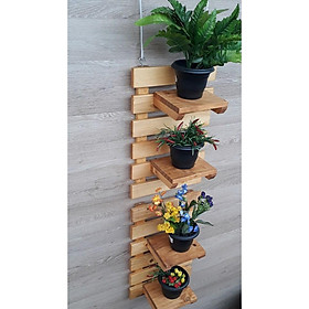 Mua kệ để cây cảnh treo tường kích thước 40cmx60cm