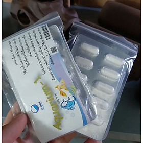 Viên con nhộng đặc trị CÁ- TÉP CHẾT LAI RAI AQUARIUM-1 Thái Lan