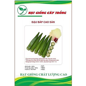 Hạt giống đậu bắp cao sản (TRÁI XANH, TAY LÁ TÍM) CT148 - Gói 10gram