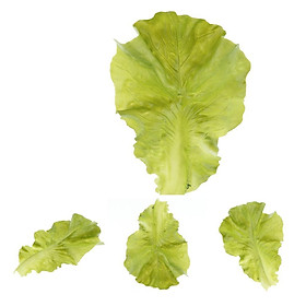 4 Pcs Artificial Lifelike Simulation Fake Food Lettuce Leaves Home Decor