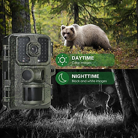 Camera 4K Trail mới 16MP Camera trinh sát động vật hoang dã Camera theo dõi Cảm biến PIR kép 0,5 giây Thời gian kích hoạt Tầm nhìn ban đêm hồng ngoại Màu: A