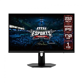 Màn hình Gaming MSI G244F 23.8 inch FHD IPS 170Hz 1ms - Hàng Chính Hãng