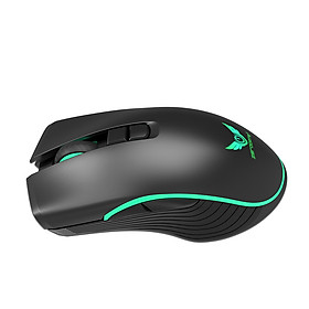 CHUỘT ZERODATE T26