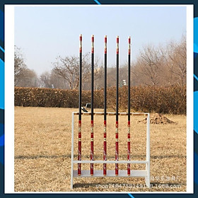 Cần Câu Tay_ Cần Câu Đài Daiwa Long Phụng 6H