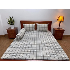 GIÁ SỈ Bộ Ga gối thun lạnh Hàn Quốc xịn -mềm mát giá tốt nhất đủ size