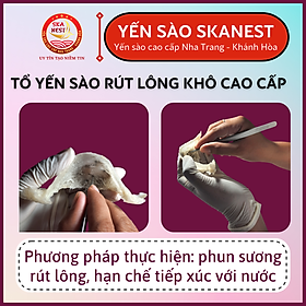 Yến sào tinh chế Rút Lông Khô 1 tai - Yến Sào Rút Lông Khô