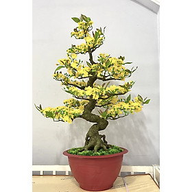 Hình ảnh Cây Hoa Mai Bonsai Giả Cao 1m25 Chậu Hoa Mai Trang Trí Tết