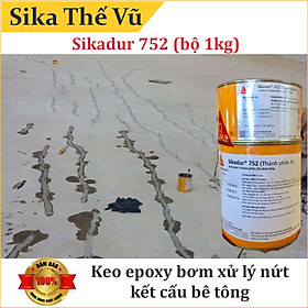Keo epoxy bơm xử lý nứt kết cấu bê tông - Sikadur 752 (bộ 1kg)