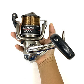 Mua Máy Câu Cá Shimano Alivio 6000, 8000, 1000 Tặng Sẵn 150m Dây