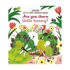 Hình ảnh sách Little Peep Through Books : Are You There Little Bunny