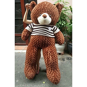 GẤU BÔNG Teddy ICHIGO khổ vải 1M4 bên trong gấu 100% gòn