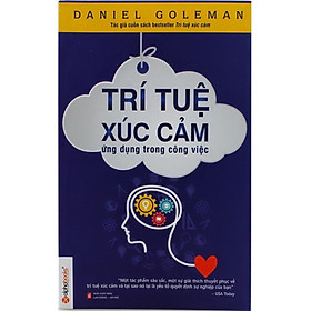 Trí Tuệ Xúc Cảm Ứng Dụng Trong Công Việc ( Tái Bản )