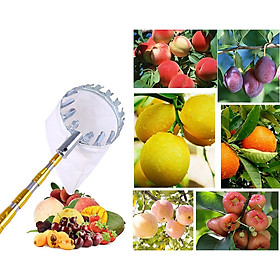 Mua Vợt Đầu Sào Hái Trái Cây Trên Cao Đa Năng Kèm Túi Vải - Dụng Cụ Hái Hoa Quả Thép Siêu Bền Đẹp