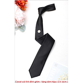 Cavat cá tính đính ghim , bản nhỏ 6cm trẻ trung năng động - tặng kèm hộp nhỏ