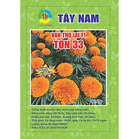 Hạt Giống Vạn Thọ Cam Đỏ Cao Lỡ TON 33