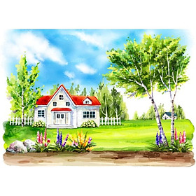 Giấy dán tường - C24