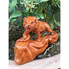 Mua Tượng con hổ chúa tể sơn lâm bằng gỗ hương đá kt 55×25×12cm