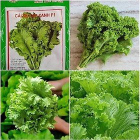 Bộ 3 Gói Hạt giống rau cải mù tạt xanh dể trồng F1-gói 10gram-tặng kèm gói phân bón lót