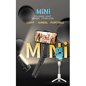 Mua Gậy Selfie L09 Có Đèn Led Chống Rung Cho Iphone Và Android Siêu Tiktok. Hàng Chính Hãng