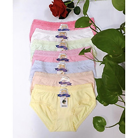 Bộ 10 quần lót cotton nữ viền ren (43-60kg) - N16-10