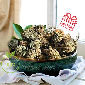 Khổ qua rừng, mướp đắng rừng 500g sấy khô tự nhiên nguyên chất