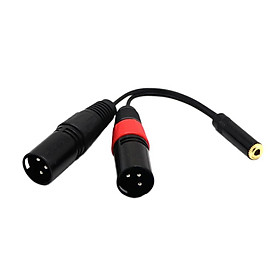 Mini .5mm Female to Dual XLR Male Amplifier Mixer Console Cable