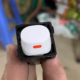 Mua Hạt công tắc