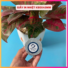 Mua THÙNG 100 CUỘN GIẤY IN BILL K80X45/ GIẤY IN NHIỆT K80 (80X45)