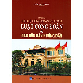 Luật Công Đoàn Các Chính Sách Mới Đối Với Tổ Chức Công Đoàn