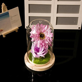 Transparent Glass Cover Micro Landscape Display Holder Terrarium Container
