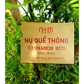 Mua Nụ Quế Thông (38 nụ) - Noom ( 95% từ vỏ quế rừng Quảng Nam  5% vỏ bời lời)